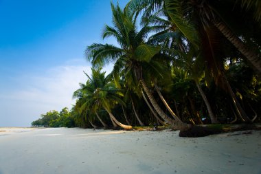 Pristine Empty Beach Havelock Island