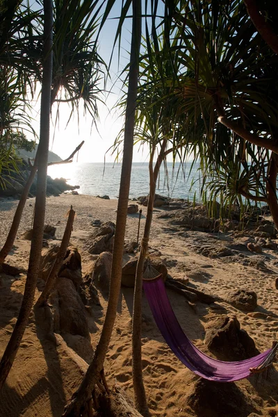 Hammock Secluded Jungle Beach Thailand — Zdjęcie stockowe