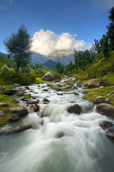 Himalayan Mountains Stream Landscape — Stock Photo, Image