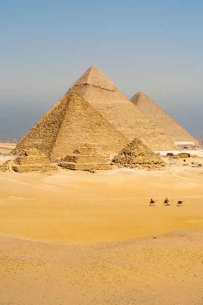 Καμήλες γραμμή με τα πόδια μεγάλες πυραμίδες Giza κάθετη — Φωτογραφία Αρχείου