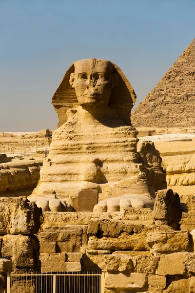 Sfinksi Face Front Giza Pyramidit Pystysuora — kuvapankkivalokuva