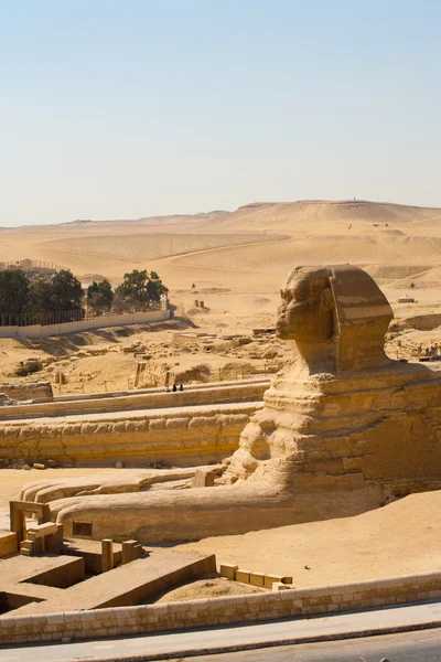 Side Profile Great Sphinx Paws Legs Desert — Stock Photo, Image