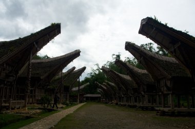 Tekne ev üzerinde Moody gökyüzü Tana Toraja siluetleri