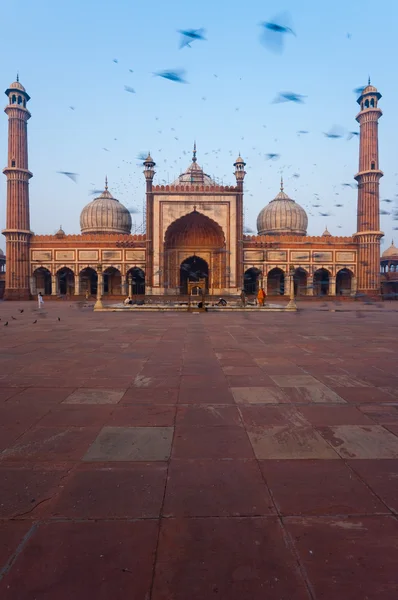 Delhi Moschea principale Uccelli Macchia Mattina — Foto Stock