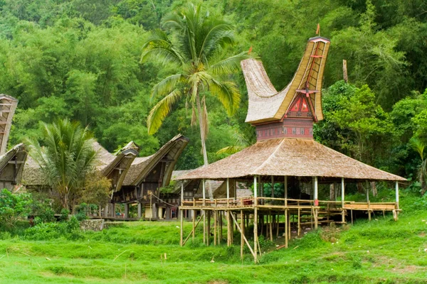 Tekne ev Tana Toraja Köyü yakın — Stok fotoğraf