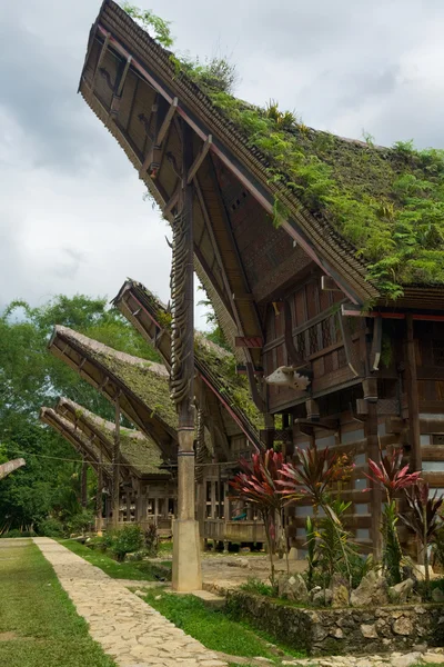 Korunmuş tekne evi açık Tana Toraja Köyü — Stok fotoğraf