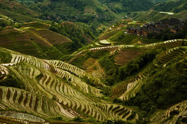 Terraço de arroz íngreme Montanha Longji Overcast — Fotografia de Stock