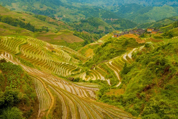 Inundado Arroz Terraza Valle Pueblo tradicional — Foto de Stock