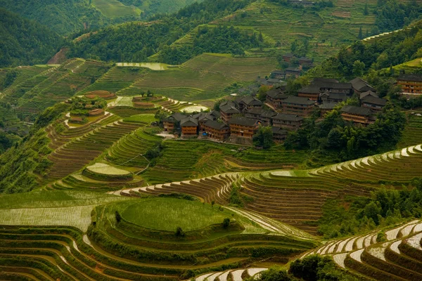 Cascata di riso allagato Terrazze Villaggio Longji — Foto Stock