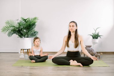 Güzel bir aile, çekici bir anne ve güzel bir kız çocuğu, meditasyon nilüfer yogasında oturmuş, yeşil minderde kapalı gözlerle, birlikte dinleniyorlar. Evde yoga, aile egzersizi.