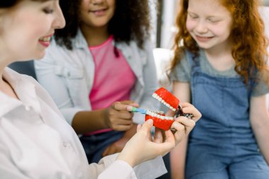 Healthy teeth, cleaning with toothbrush. Close up cropped shot of smiling woman dentist explaining importance of oral hygiene on jaw model to happy two multiracial girls. Focus on jaw model