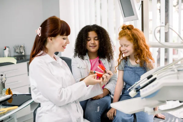 Dental care, teeth hygiene and check up. Young smiling female dentist showing teeth and jaw model to African American and Caucasian teenagers girls, visiting modern dental clinic. — Fotografia de Stock