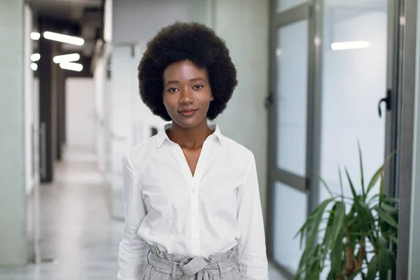 Halve lengte portret van charmante jonge doelgerichte Afrikaanse zakenvrouw met afro haar, het dragen van witte shirt en grijze broek, poseren voor camera binnen, in modern loft kantoor. Succesvolle dame — Stockfoto
