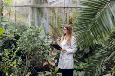 Beyaz önlüklü, beyaz önlüklü beyaz kadın tarımcı seradaki bitkilerin büyümesini ve durumunu denetliyor, notlar alıyor. Bitki bakımı ve koruma konsepti