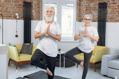 Vrksasana pozu veren yaşlı bir çift.