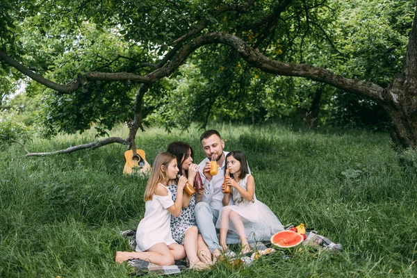 Pais com dois filhos bebendo suco fresco no jardim verde — Fotografia de Stock