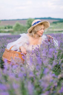 Şık şapkalı ve elbiseli oldukça olgun bir bayan, çömelmiş ve çiçekli lavanta kokusunun tadını çıkarıyor.