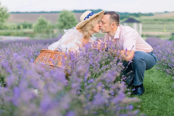 Beijando casal maduro em roupas elegantes e elegantes, sentado no belo campo de lavanda florido — Fotografia de Stock