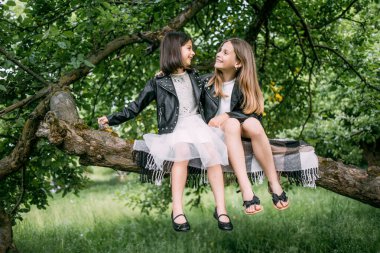 Yaşlı ağacın dalında oturan iki kız kardeş.