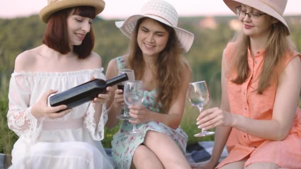 Mujer bonita vertiendo vino en una copa, mientras está sentada con dos de sus mejores amigos al aire libre en el campo — Vídeos de Stock