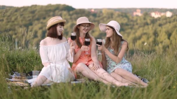 Sonrientes mejores amigos bebiendo vino tinto en el césped. — Vídeos de Stock