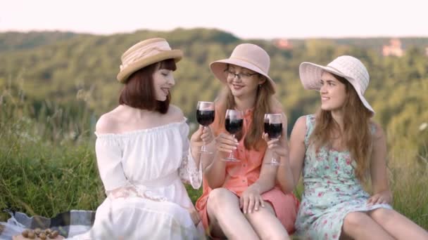 Le bästa vänner dricka rött vin på gräsmattan. — Stockvideo