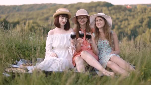 Usmívající se nejlepší přátelé pijící červené víno na trávníku. — Stock video