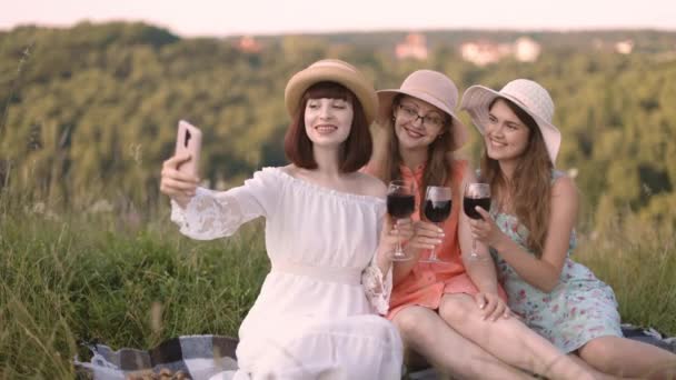 Przyjaciółki, cieszące się letnim piknikiem i toasting kieliszki do wina, co selfie zdjęcie na smartfonie — Wideo stockowe