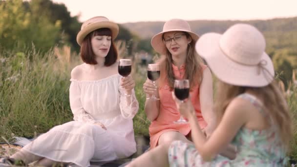 Trzy wspaniałe kobiety najlepsze przyjaciółki trzymające kieliszki czerwonego wina i bawiące się na pikniku na świeżym powietrzu. — Wideo stockowe