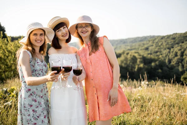 Sorrindo melhores amigos beber vinho tinto no ter um piquenique no campo de verão — Fotografia de Stock