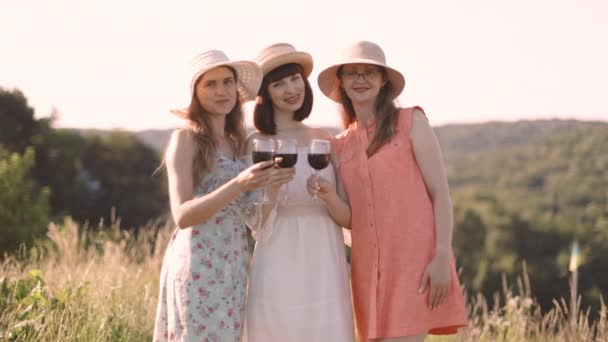 Tiga wanita cantik mendentingkan gelas anggur merah, sementara duduk di rumput memiliki waktu piknik yang nyaman — Stok Video