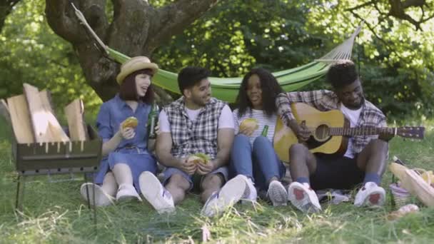 Twee multiraciale koppels zingen en spelen gitaar op picknick — Stockvideo