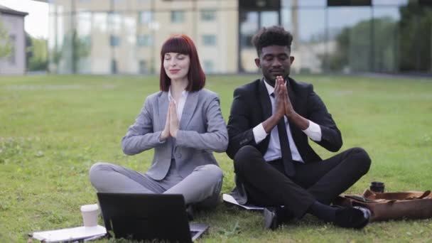 Multiracial medarbetare, sitter på grönt gräs utanför, och gör yoga meditation i namaste pose — Stockvideo