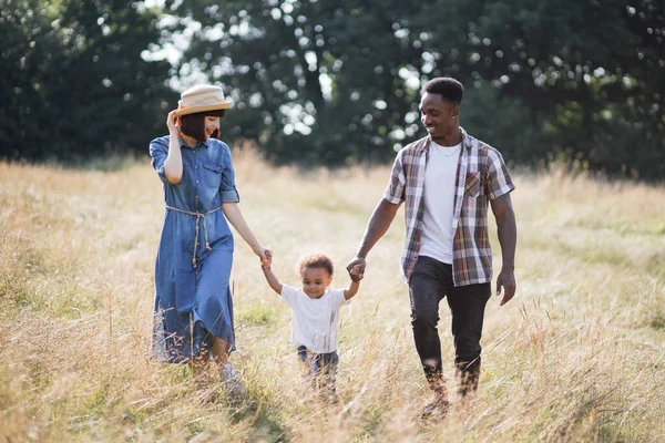 Familia multirracial cogida de la mano y caminando en el campo — Foto de Stock