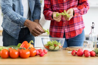 Bir çift sağlıklı bir salata hazırlıyor. Parlak bir mutfak ortamında taze sebzelerle..