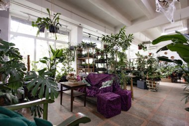 Kapalı bir bahçede çeşitli bitkiler ve rahat bir oturma alanı bulunur.