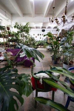 Kapalı alan çeşitli bitkilerle doludur. Huzurlu ve davetkar bir atmosfer yaratır.