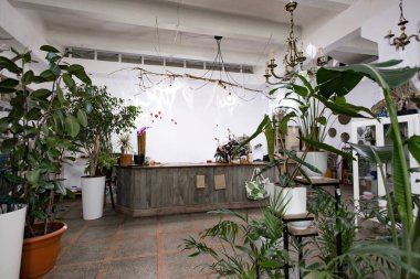 Bir fabrikanın içi yemyeşil ve kırsal ahşap bir tezgahla dolu. Hoş bir atmosfer yaratıyor.