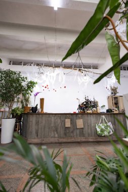 Bitkileri ve ahşap tezgahı olan bir botanik dükkanının güzel bir iç çekimi.