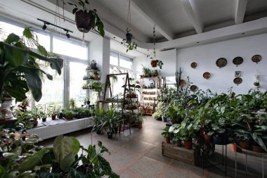 Bu parlak ve havadar fabrika geniş çeşitlilikte yemyeşil bitkilerle dolu.