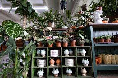 Bir fabrikadaki raflarda çeşitli saksılar ve dekoratif kaplar sergileniyor.