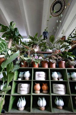 Bir mağazadaki raflarda çeşitli ev bitkileri ve dekoratif çömlekler sergileniyor.