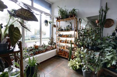 Parlak ve havadar bir fabrikada çeşitli yeşillik ve saksı bitkileri sergilenerek sakin bir atmosfer yaratılıyor.