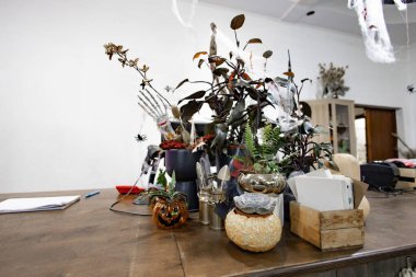 Bayram kutlamalarında bitkiler, balkabakları ve tahta bir masanın üzerinde iskelet bir el bulunur.