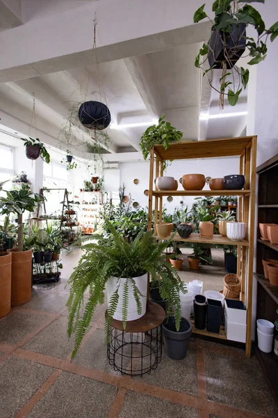 Parlak ve havadar bir fabrika iç mekanda çeşitli saksı bitkileri ve dekoratif elementler sergileniyor.