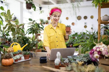 Sarı gömlekli bir kadın, parlak, davetkar bir bitki dükkanında dizüstü bilgisayarla çalışırken sulu bir şey tutuyor.