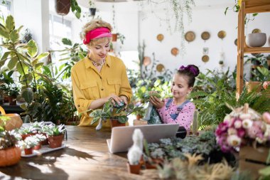 Bir kadın ve genç bir kız, parlak, güneşli bir odada birlikte bitkilerle ilgileniyorlar, iç açıcı bir sahne yaratıyorlar.