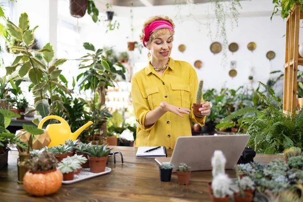 Sarı tişörtlü bir kadın bir çiçekçide kaktüs hakkında ders veriyor. Video görüşmesi için dizüstü bilgisayar kullanıyor.