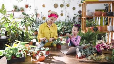 Bir anne ve kız, çiçek ve çiçeklerle çevrili bir şekilde bahçeyle ilgilenerek aile bağlarının iç açıcı bir sahnesini oluştururlar.