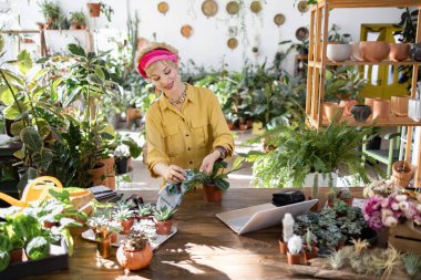 Sarı gömlekli bir kadın yeşillik ve doğal ışıkla çevrili, parlak, davetkar bir bitki dükkanında çiçeklerle ilgilenir.